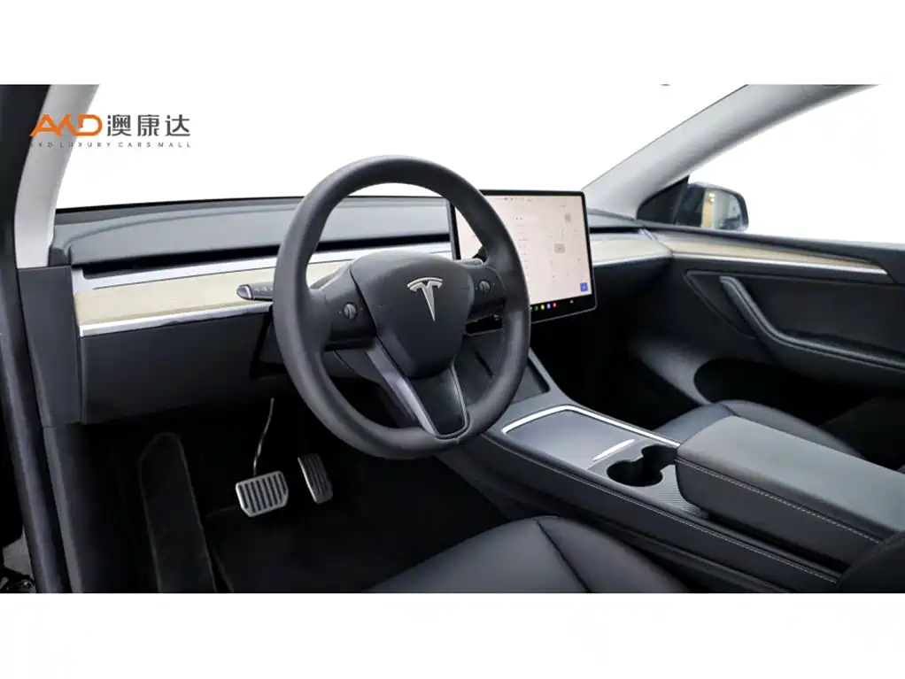Tesla Model Y — фото 6