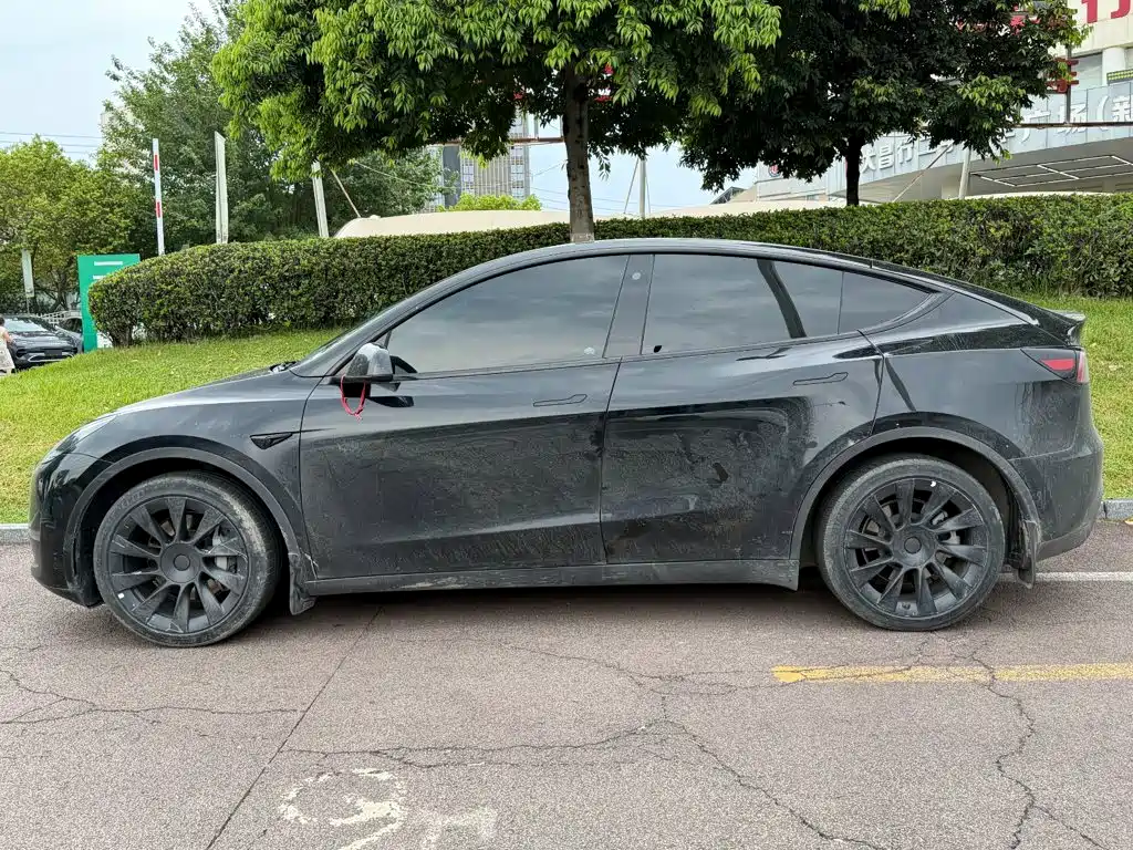 Tesla Model Y — фото 3
