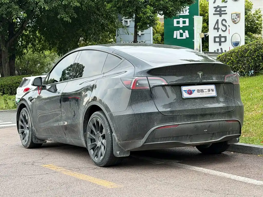 Tesla Model Y — фото 4