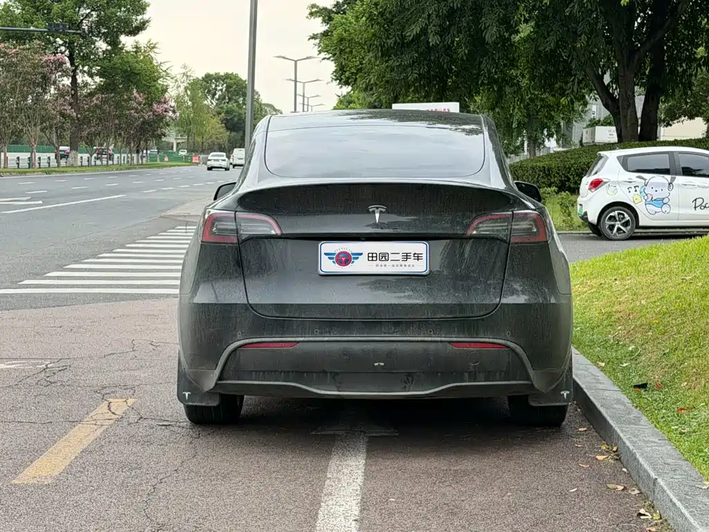 Tesla Model Y — фото 5