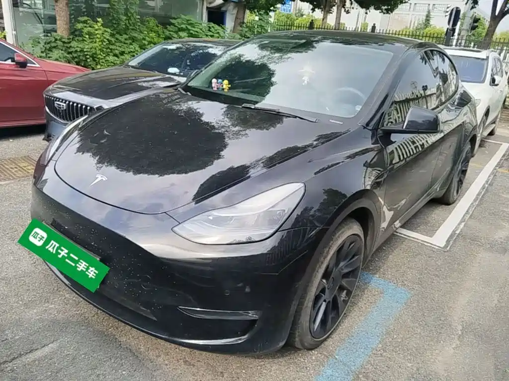 Tesla Model Y — фото 2