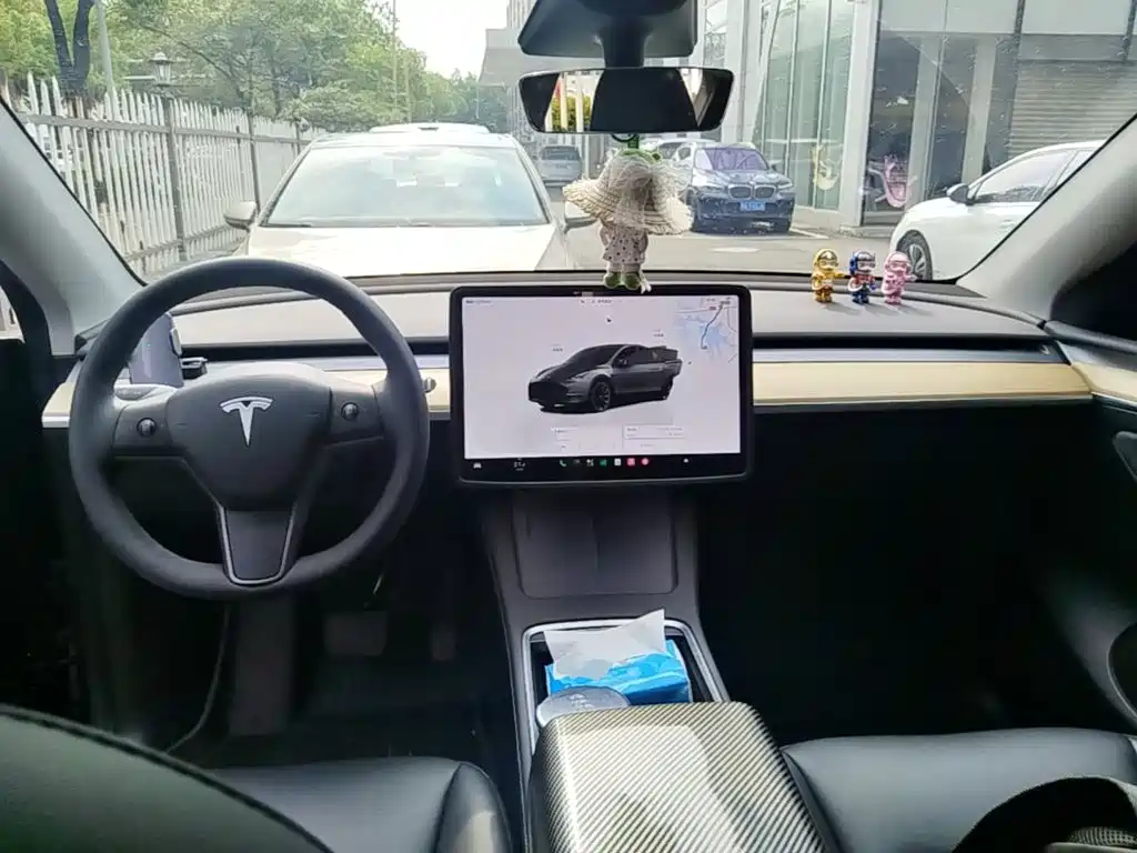 Tesla Model Y — фото 6