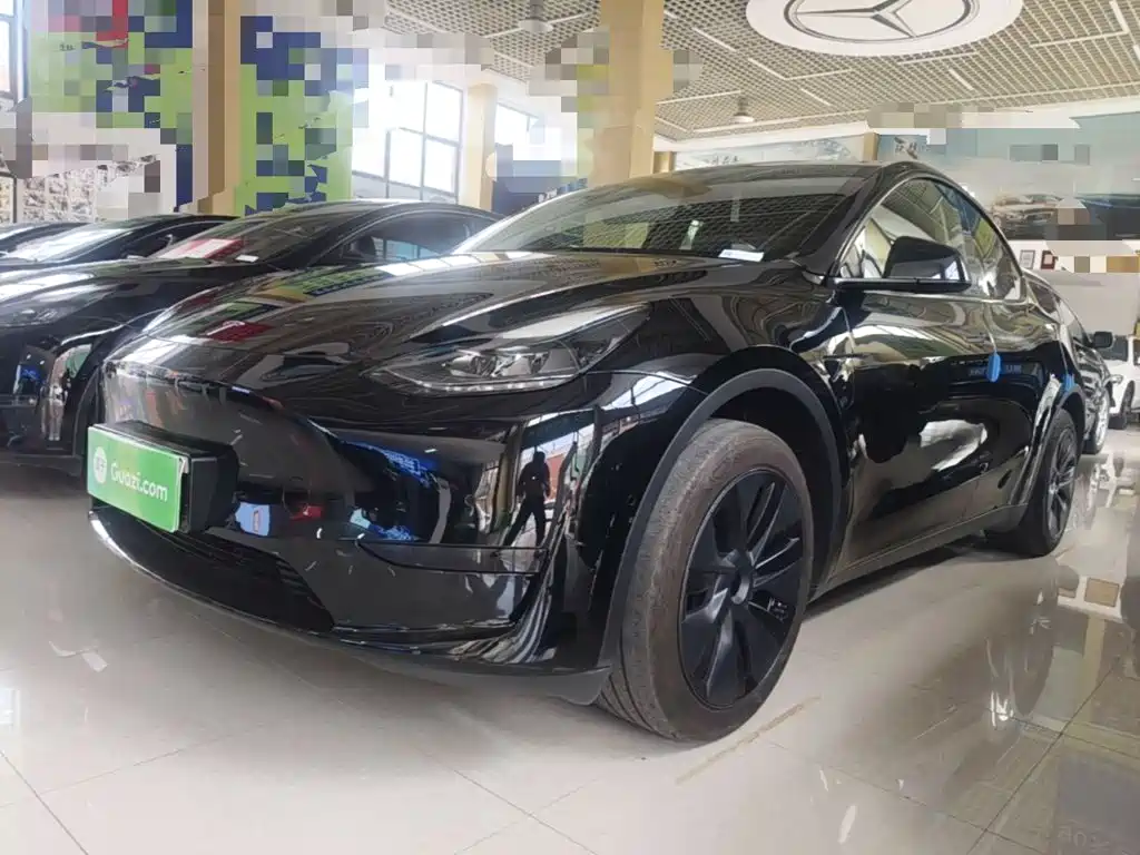 Tesla Model Y — фото 2