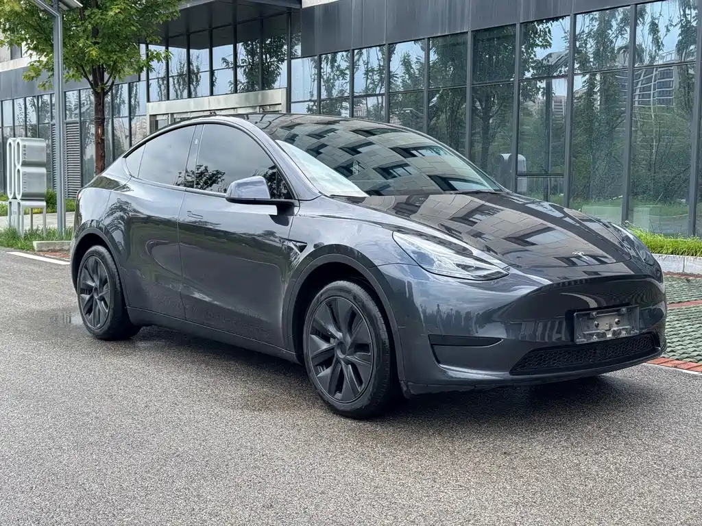 Tesla Model Y — фото 3