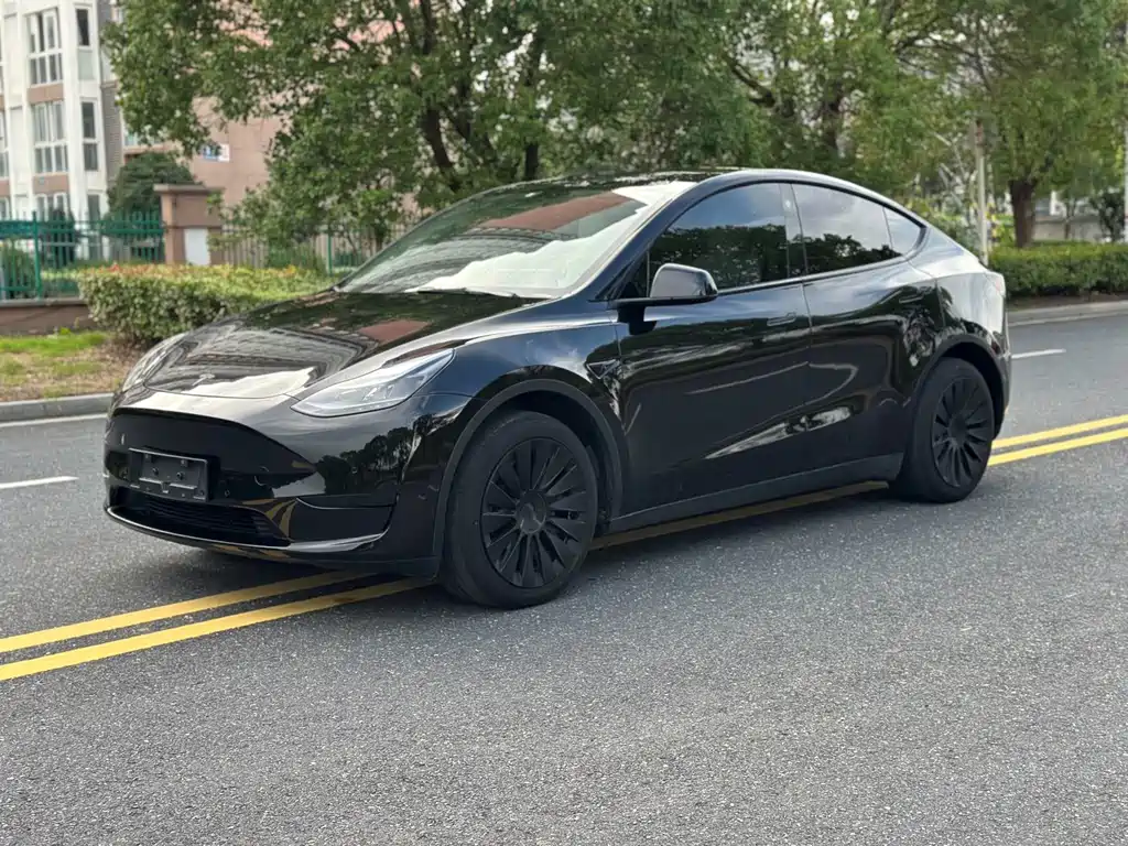 Tesla Model Y — фото 2