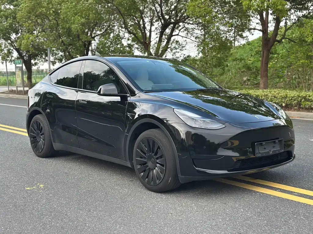 Tesla Model Y — фото 3