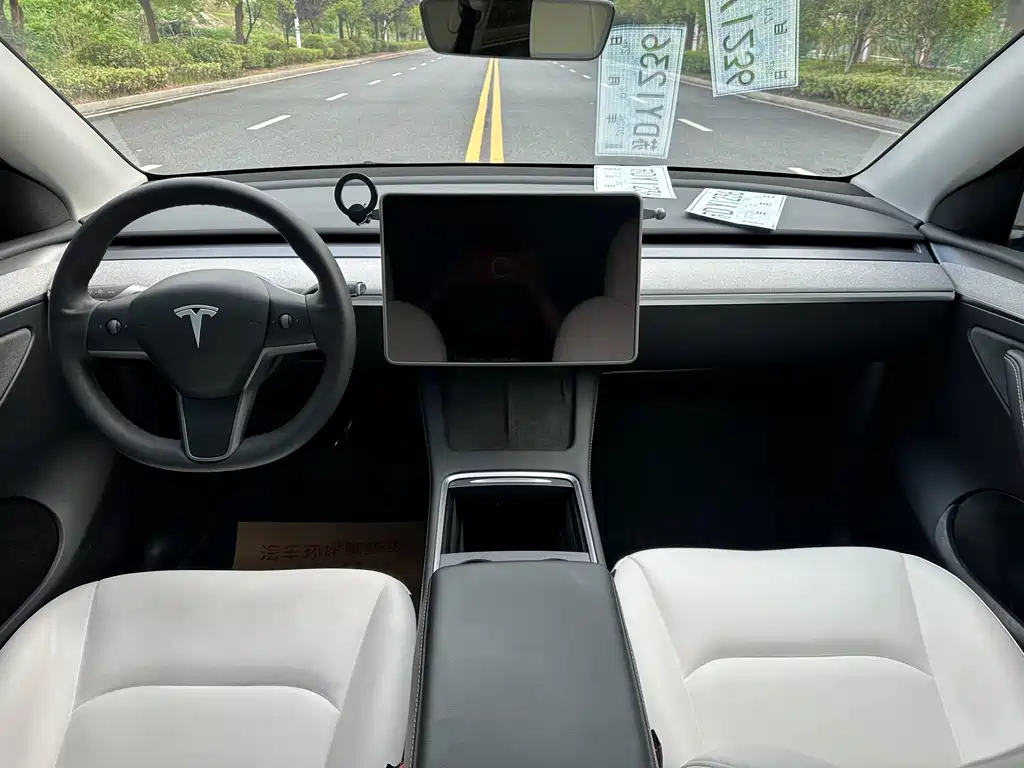 Tesla Model Y — фото 6