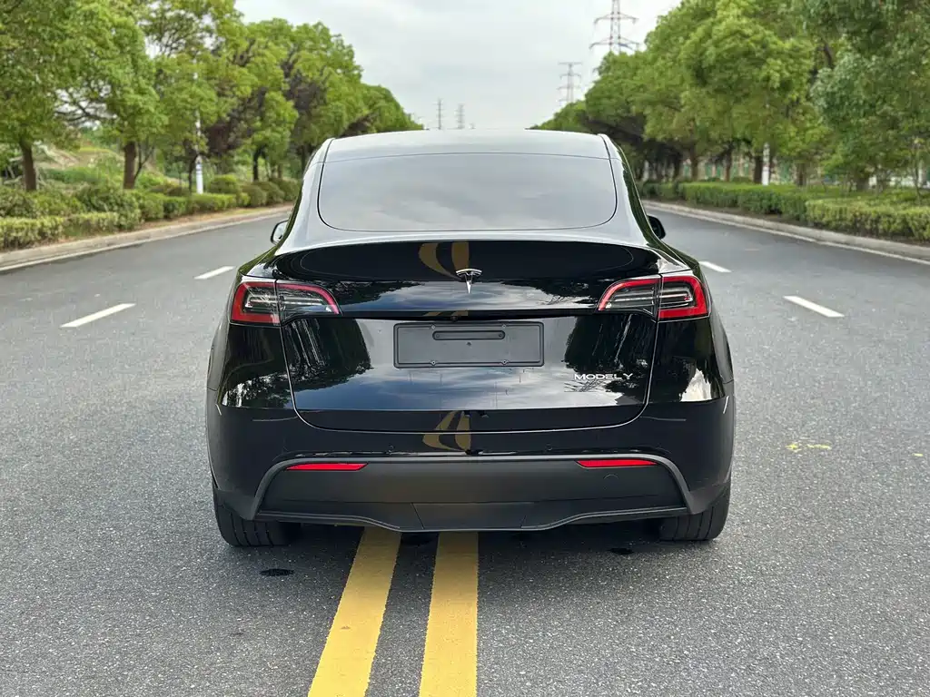 Tesla Model Y — фото 7