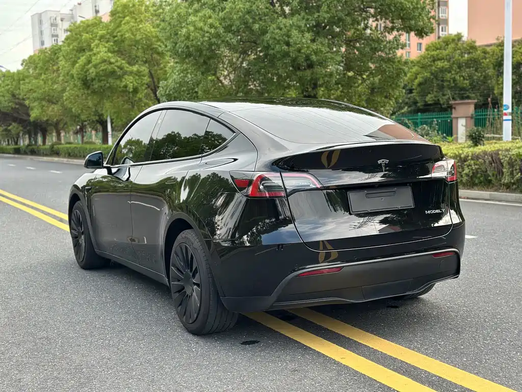 Tesla Model Y — фото 9