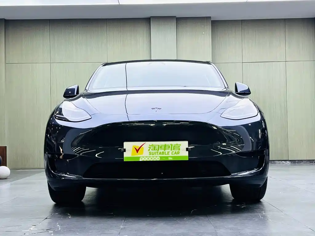 Tesla Model Y — фото 2