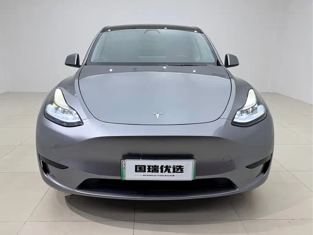 Tesla Model Y — фото 2