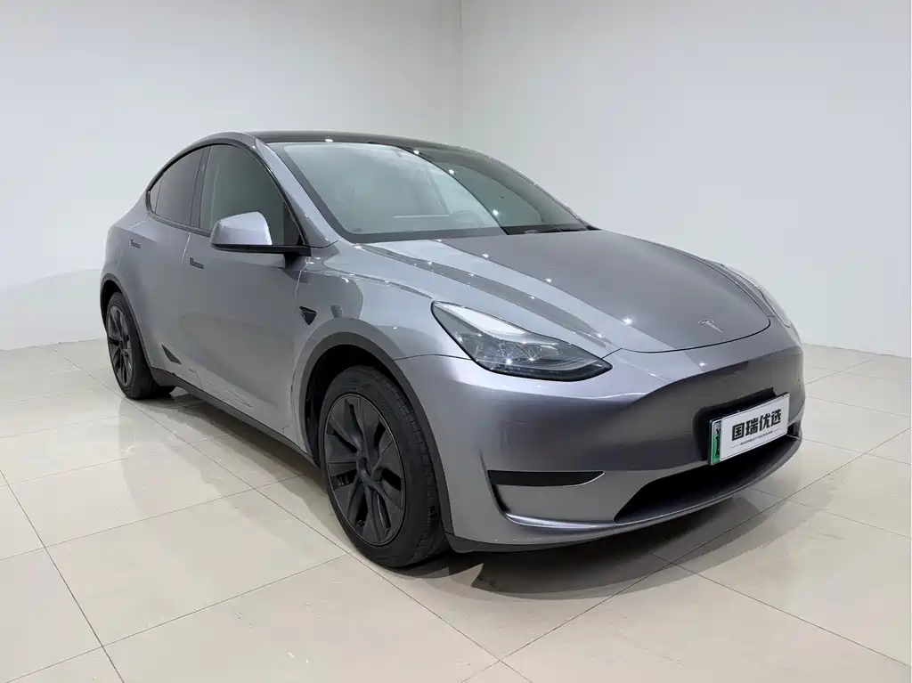 Tesla Model Y — фото 3