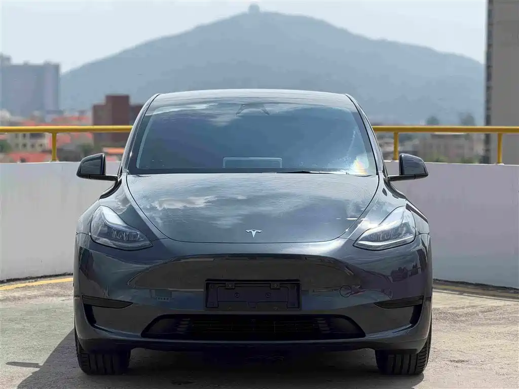 Tesla Model Y — фото 2
