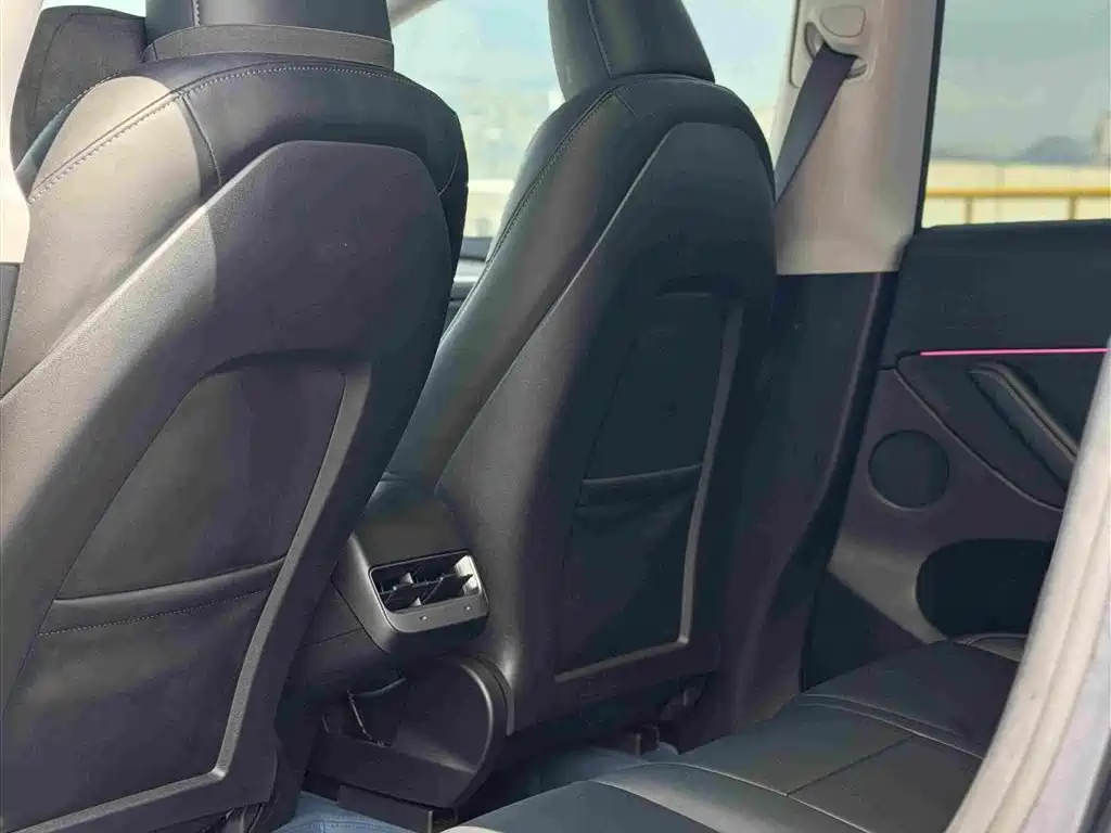 Tesla Model Y — фото 19