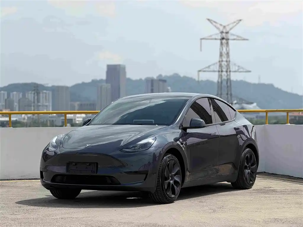 Tesla Model Y — фото 21