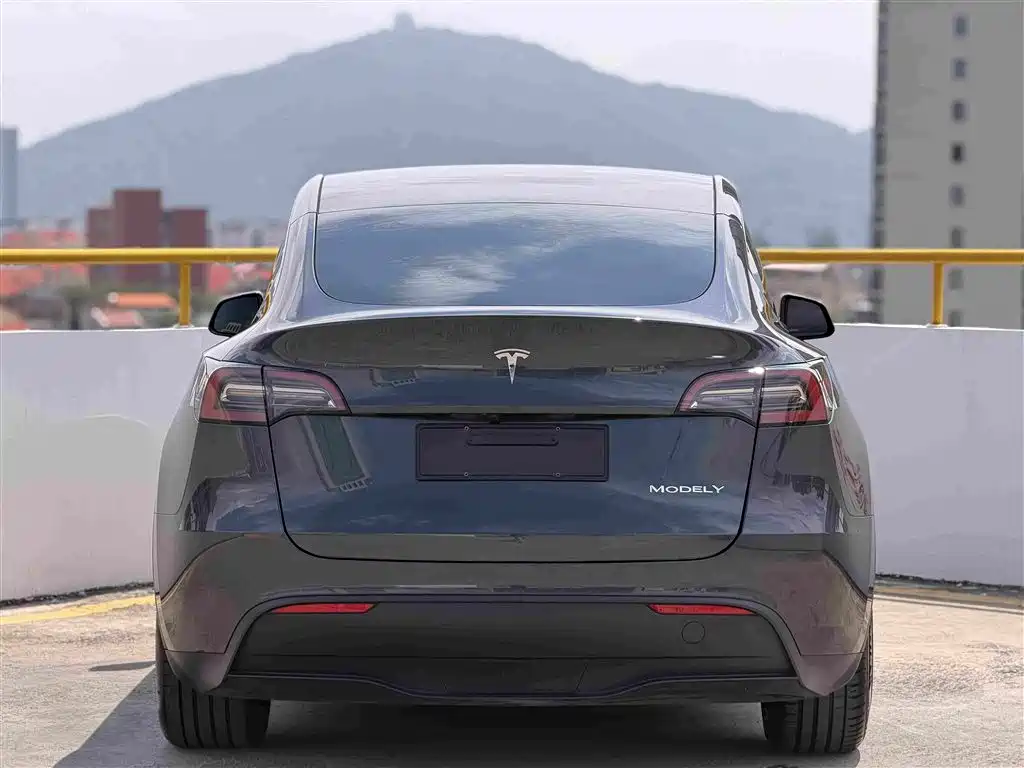 Tesla Model Y — фото 5