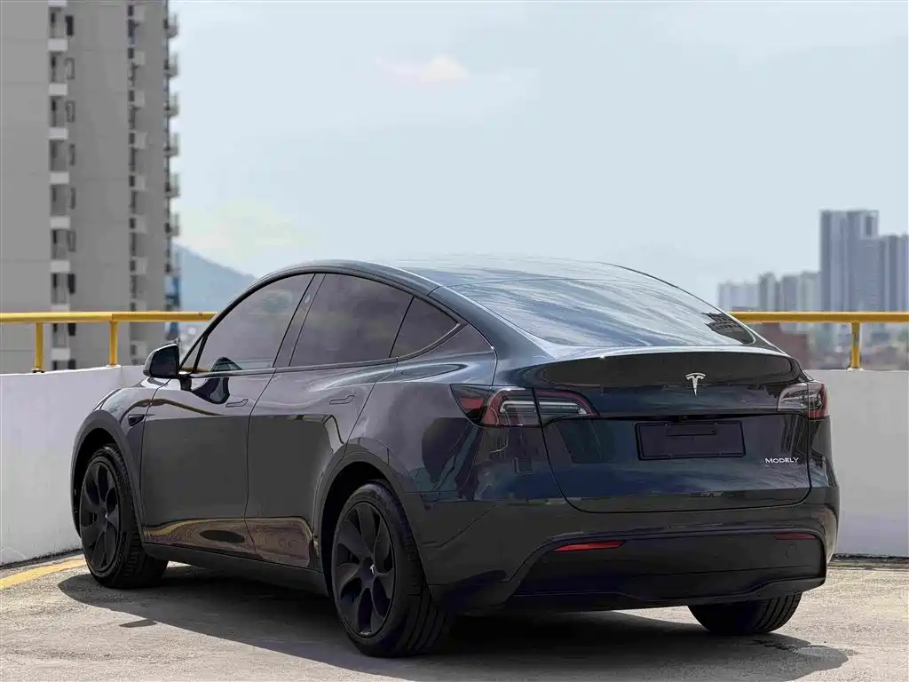 Tesla Model Y — фото 6