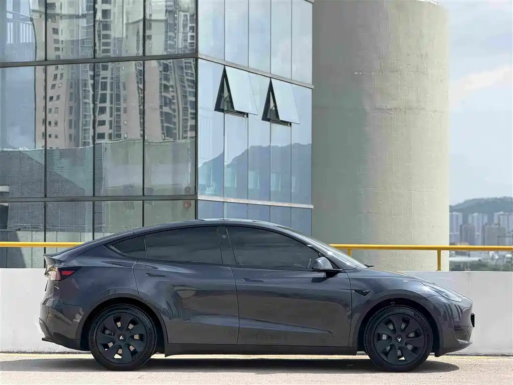 Tesla Model Y — фото 8