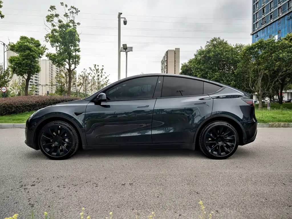 Tesla Model Y — фото 4