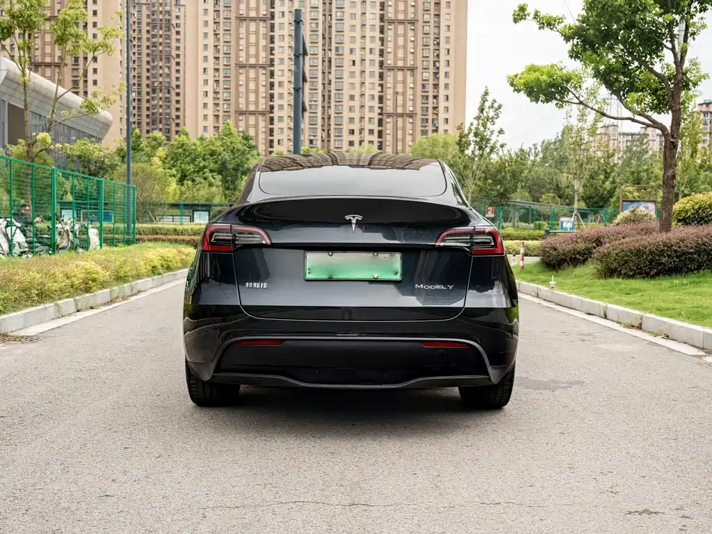 Tesla Model Y — фото 6