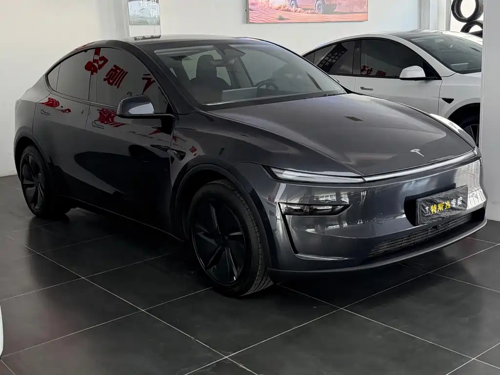 Tesla Model Y — фото 3