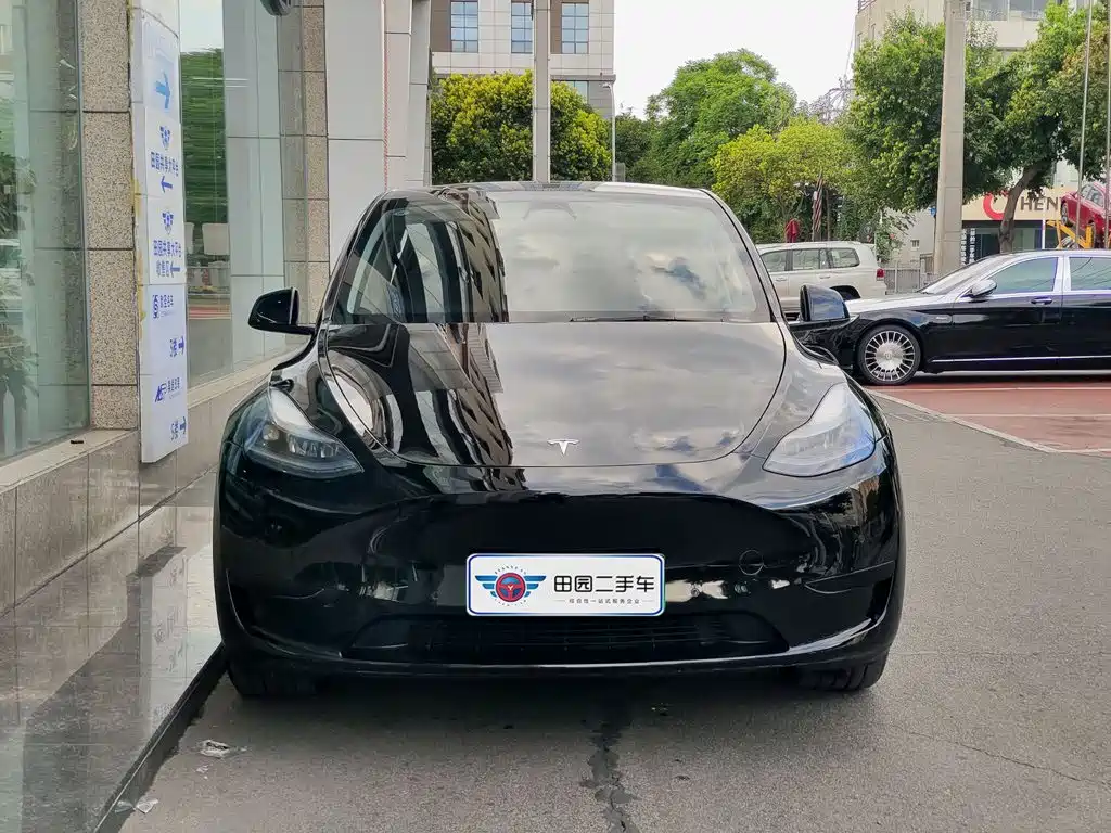 Tesla Model Y — фото 2