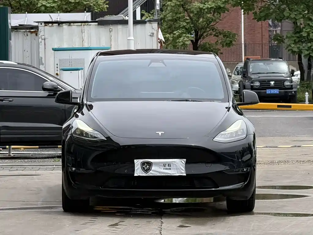 Tesla Model Y — фото 2
