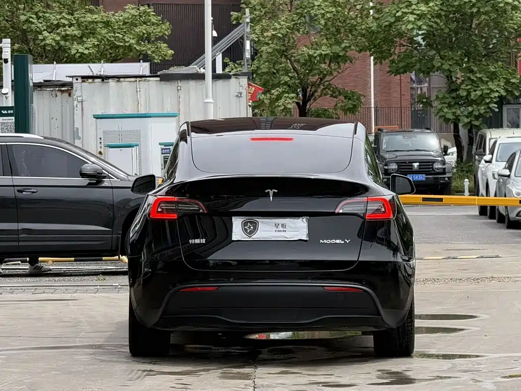 Tesla Model Y — фото 13