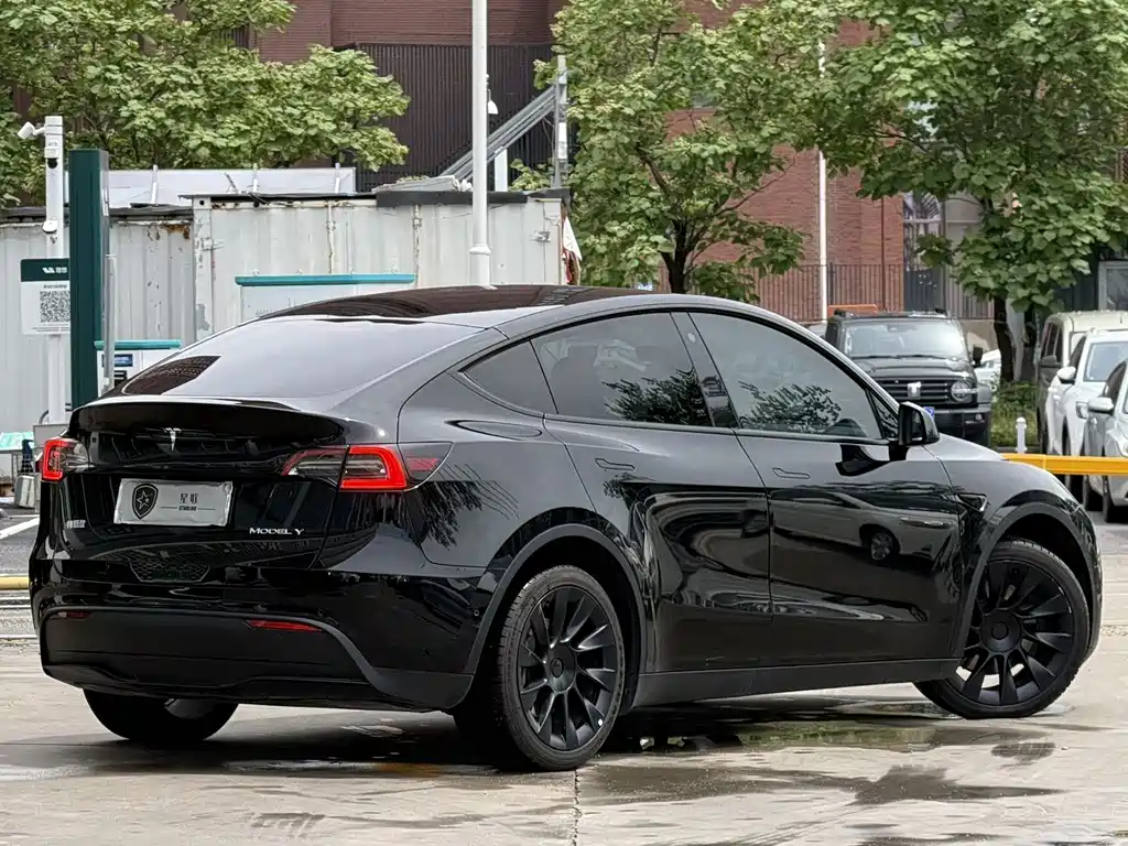 Tesla Model Y — фото 14