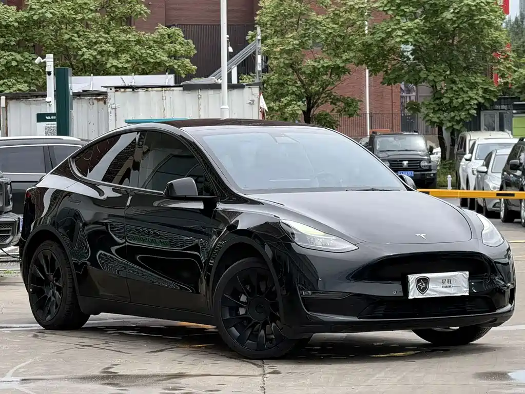 Tesla Model Y — фото 3