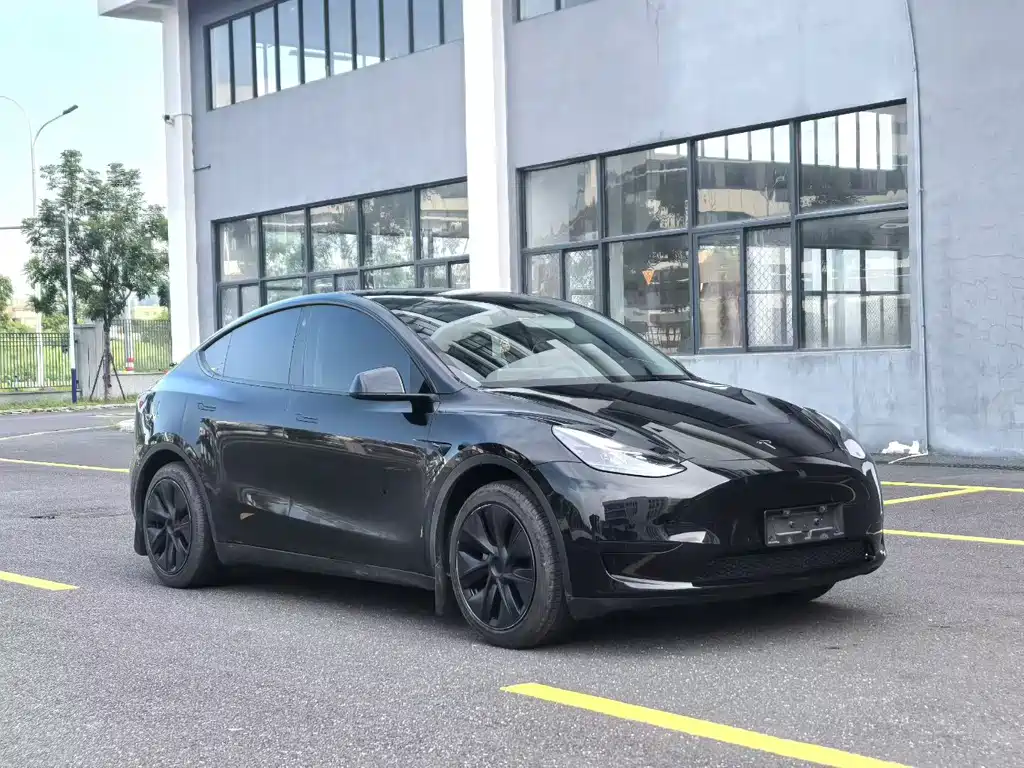 Tesla Model Y — фото 3