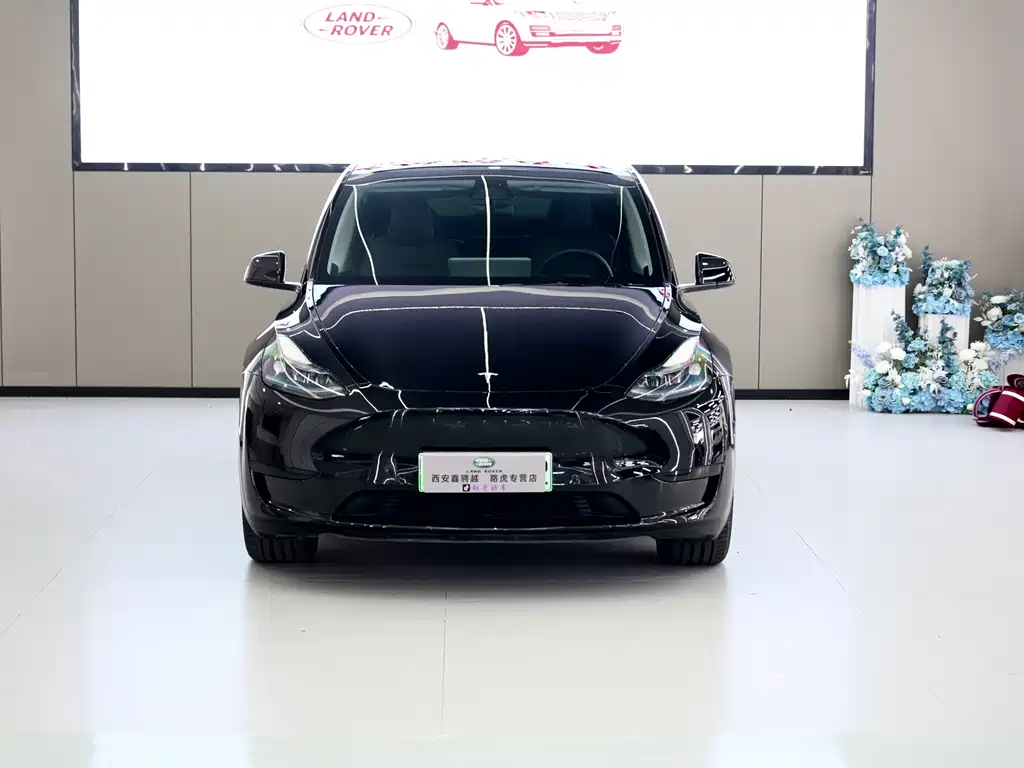 Tesla Model Y — фото 3
