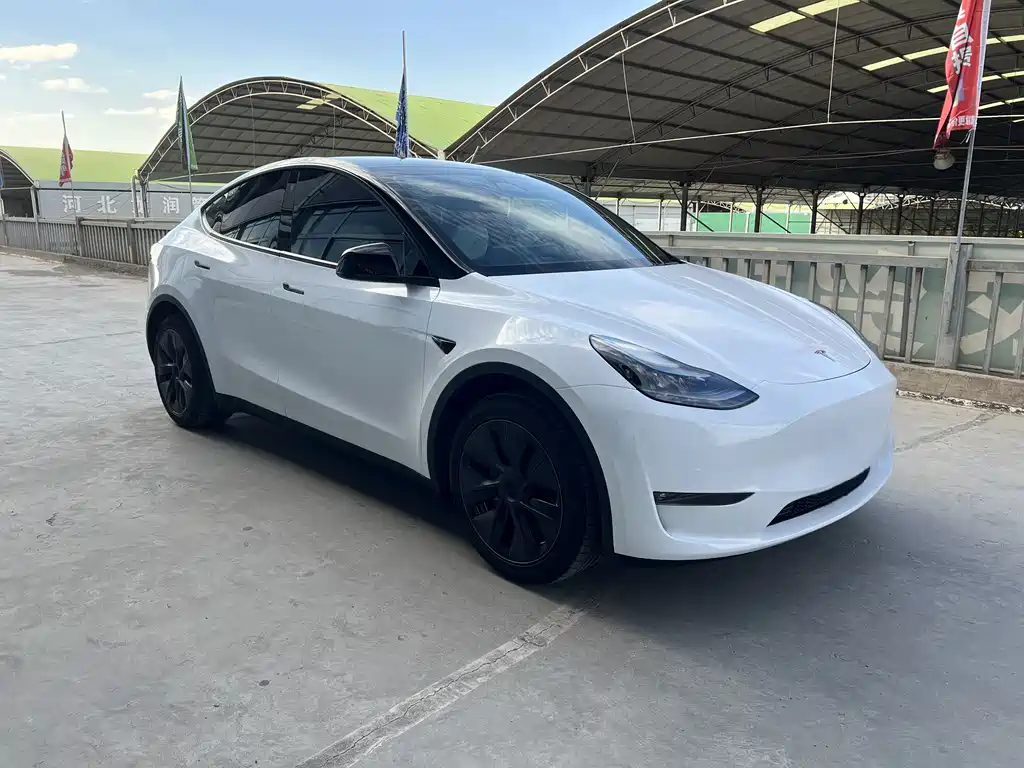 Tesla Model Y — фото 3