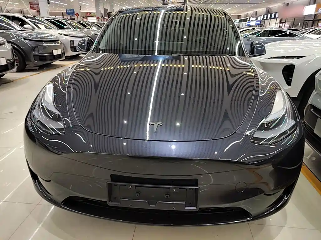 Tesla Model Y — фото 3