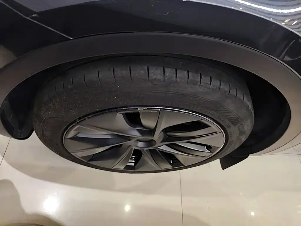 Tesla Model Y — фото 23