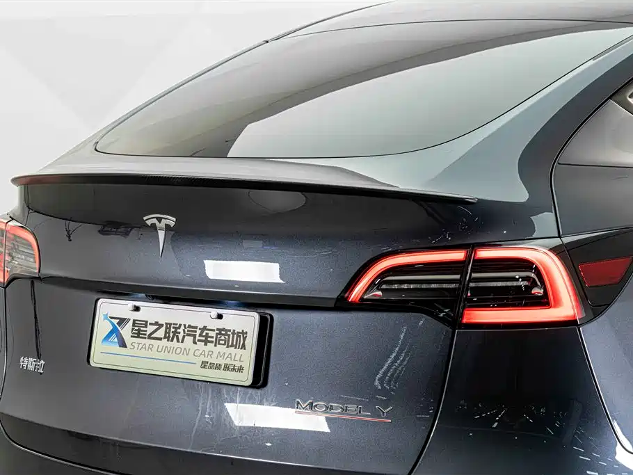 Tesla Model Y — фото 8
