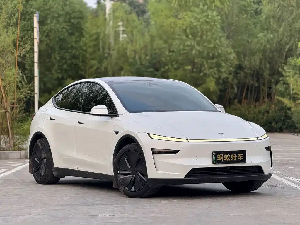 Tesla Model Y — фото 3