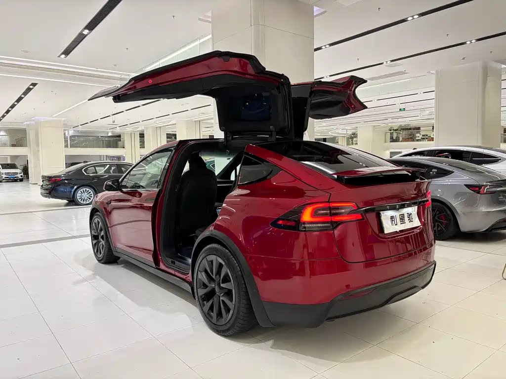 Tesla Model X — фото 3
