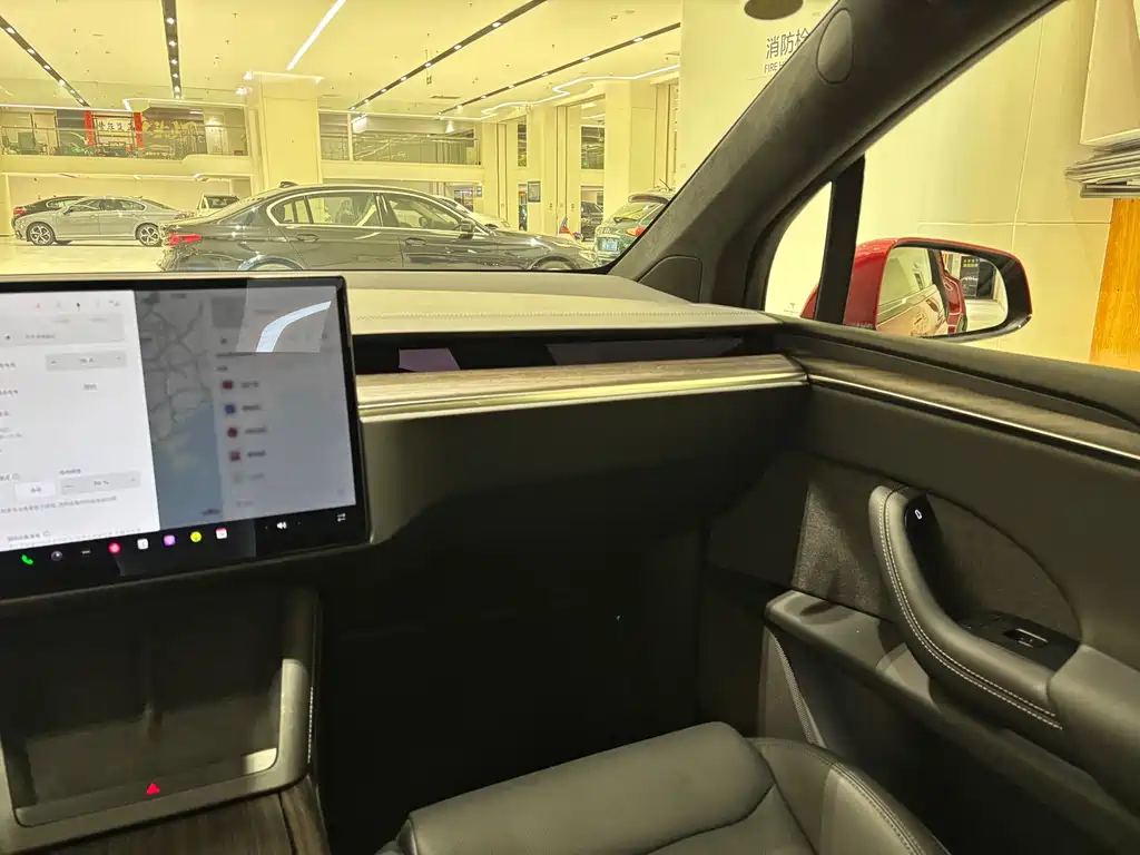 Tesla Model X — фото 9