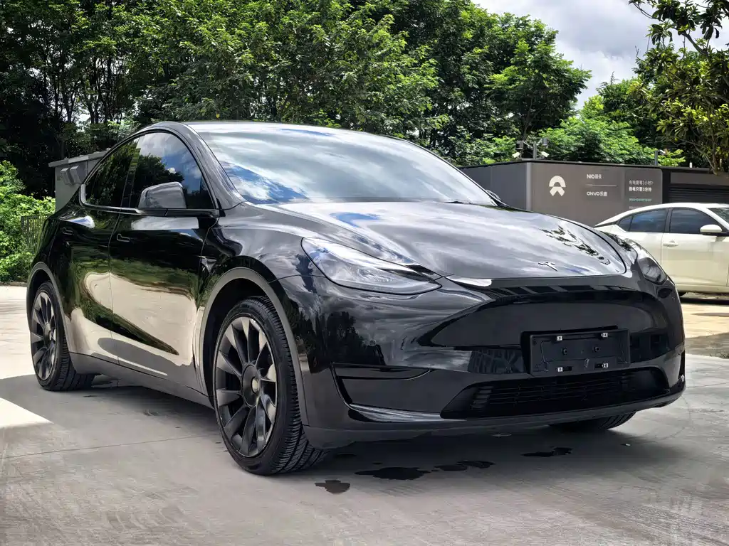 Tesla Model Y — фото 3