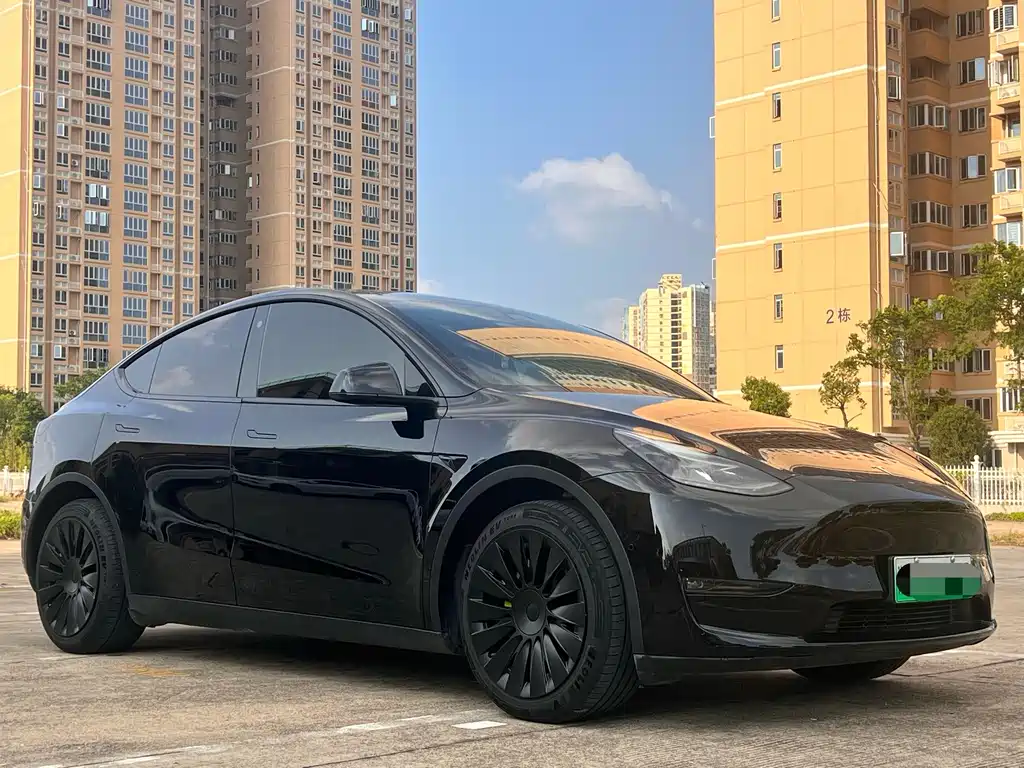 Tesla Model Y — фото 3