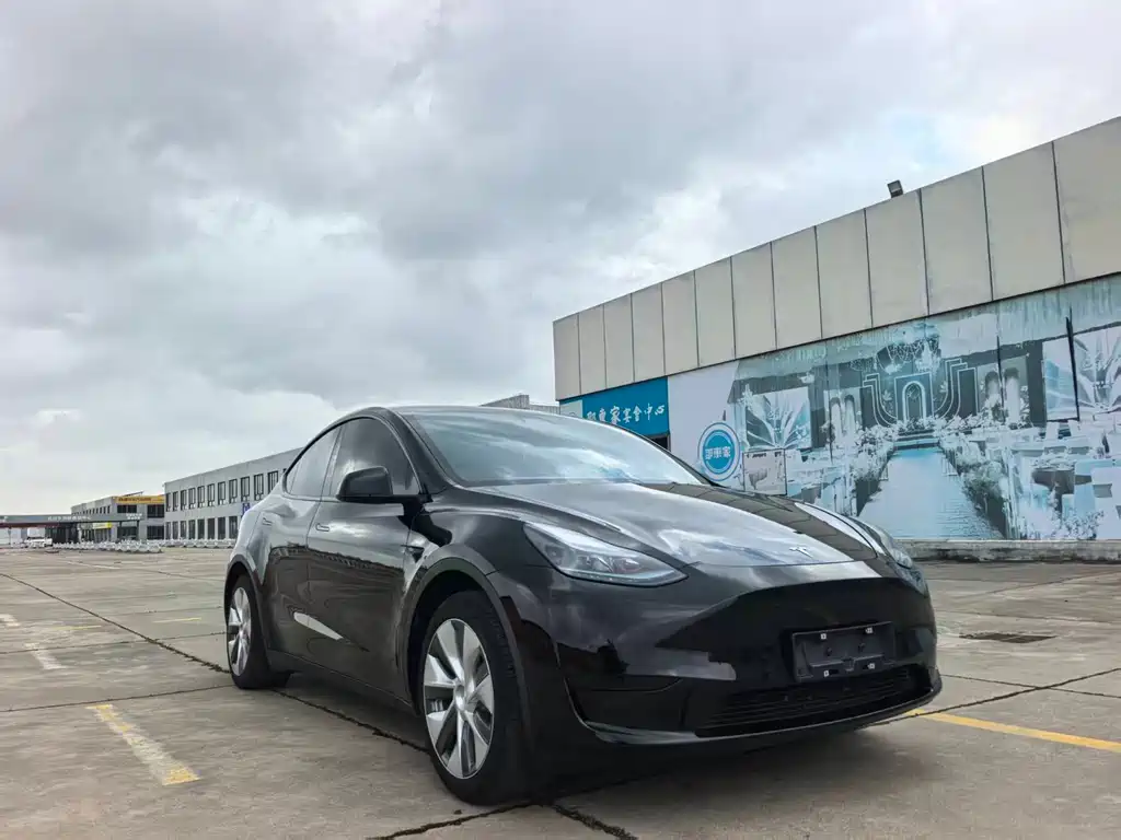 Tesla Model Y — фото 3