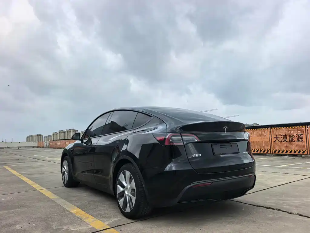 Tesla Model Y — фото 8