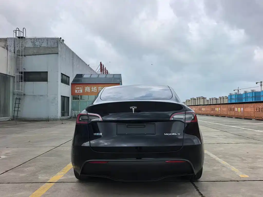 Tesla Model Y — фото 9