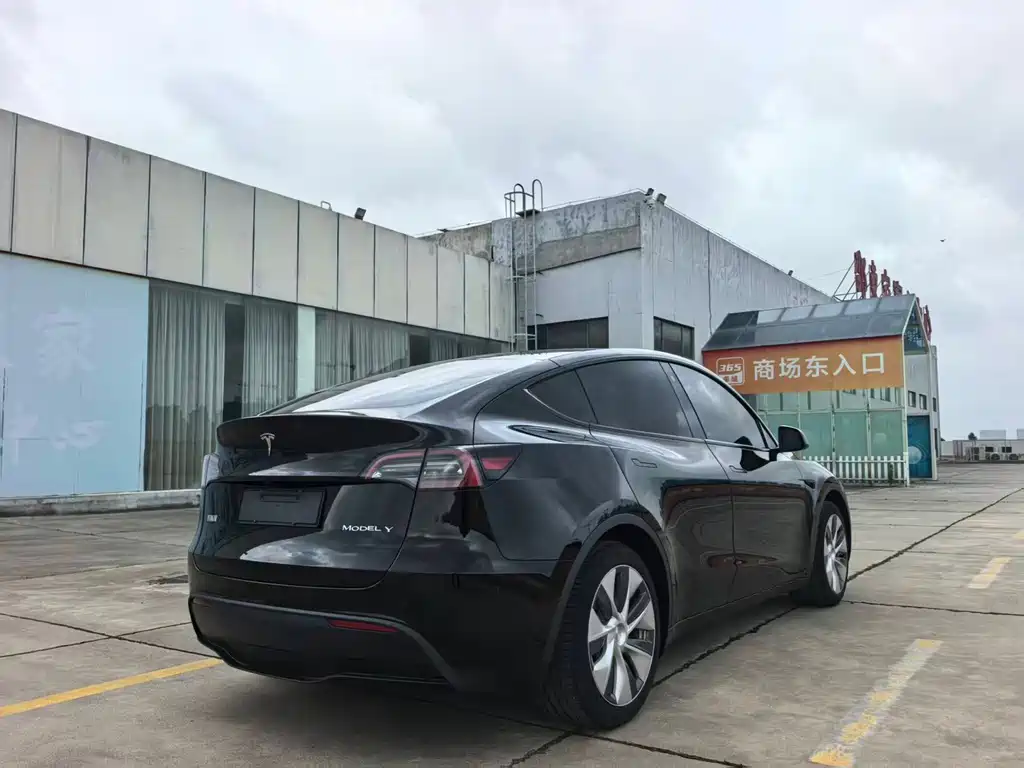 Tesla Model Y — фото 10