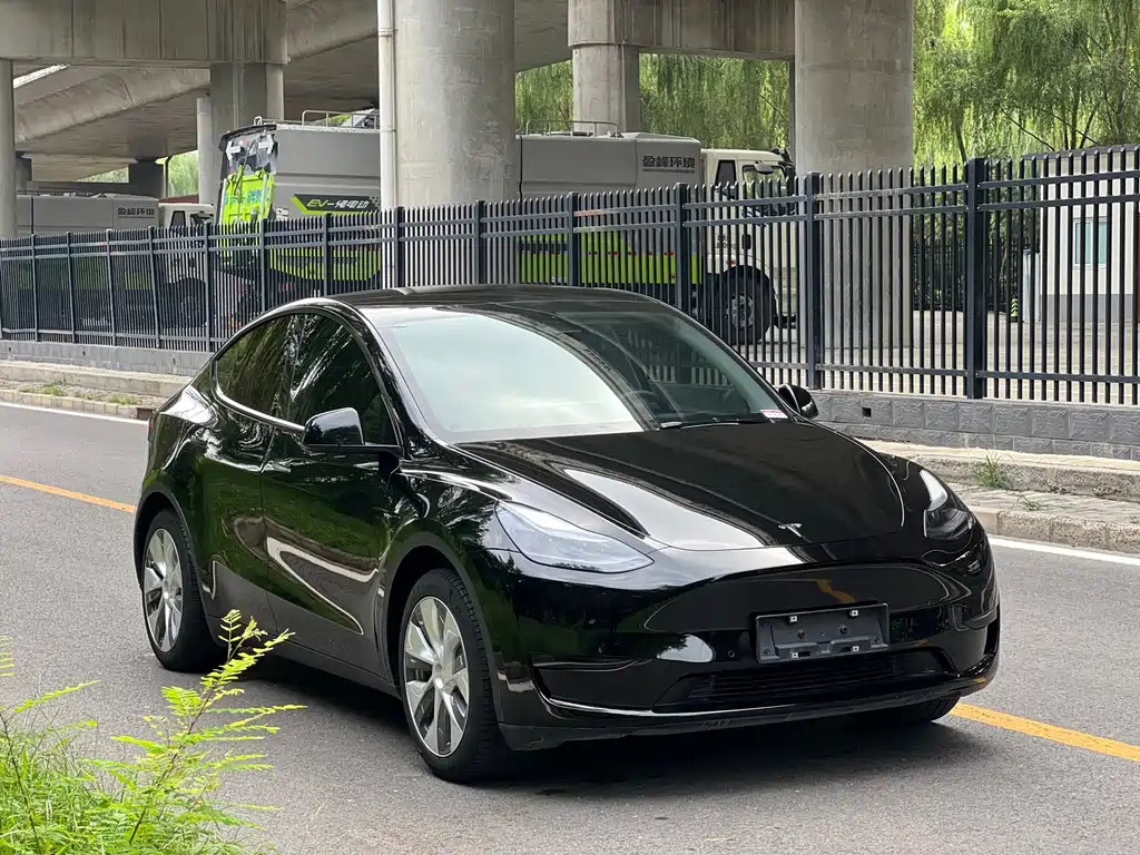 Tesla Model Y — фото 3