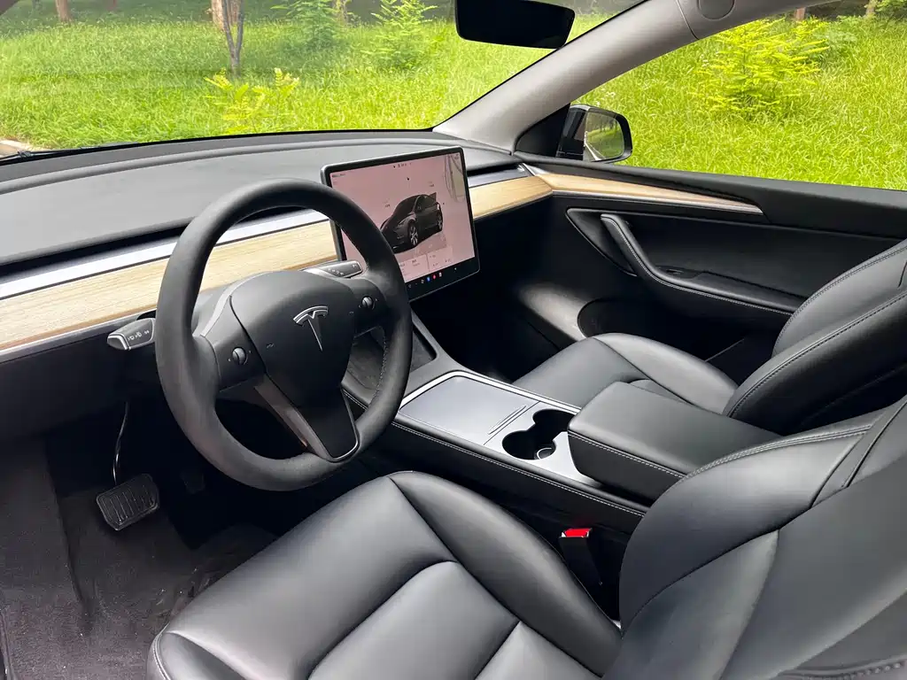 Tesla Model Y — фото 6