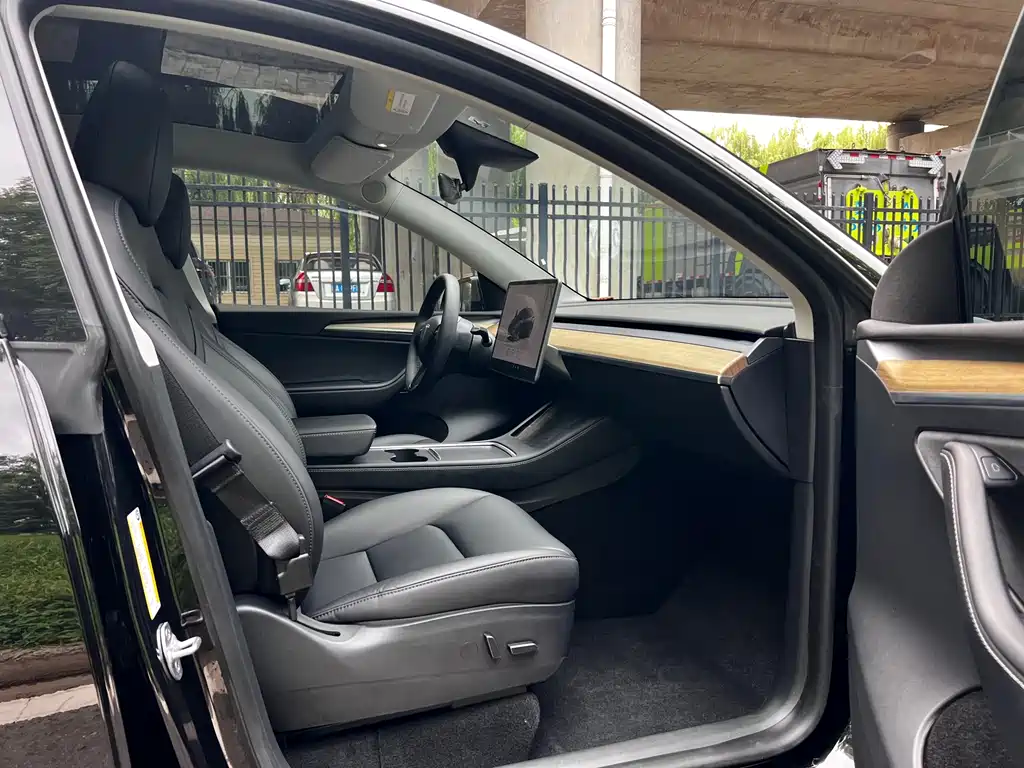 Tesla Model Y — фото 9