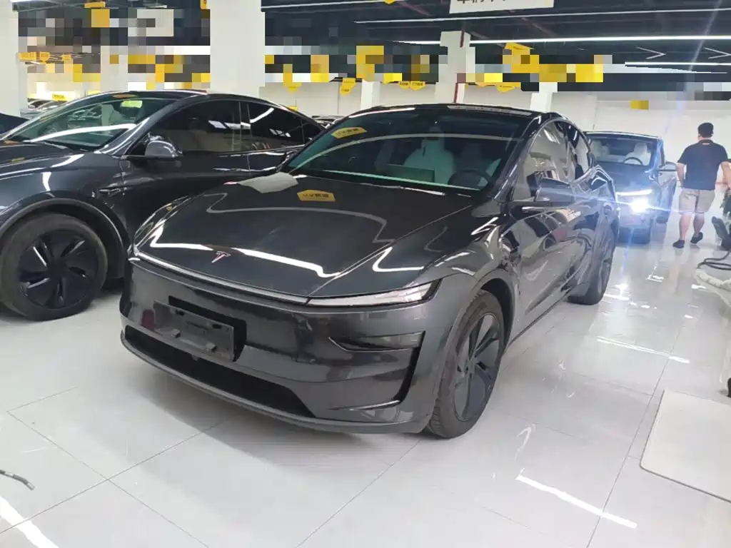 Tesla Model Y — фото 2