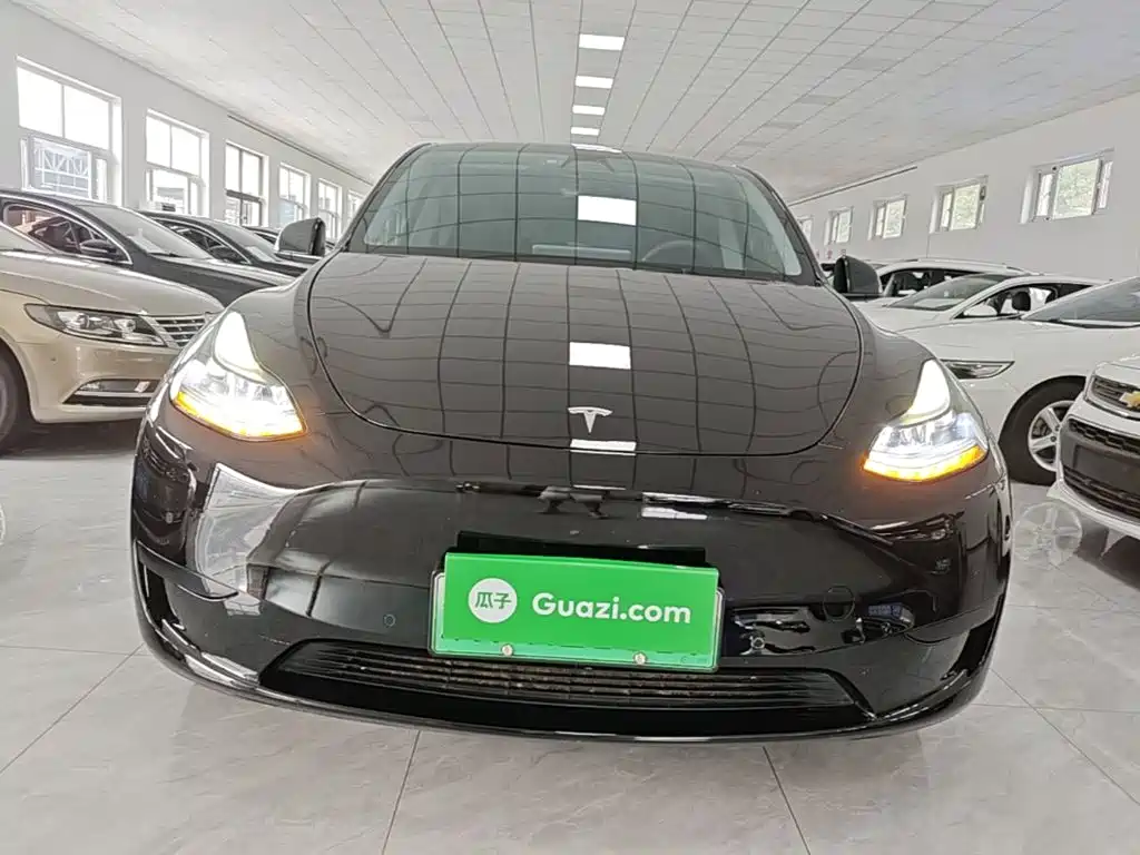 Tesla Model Y — фото 3